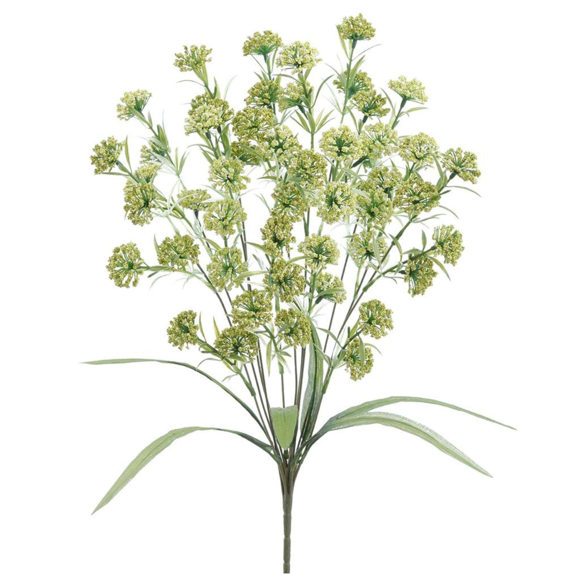 21" Lantana Bush ( FBL348-GR/TT )