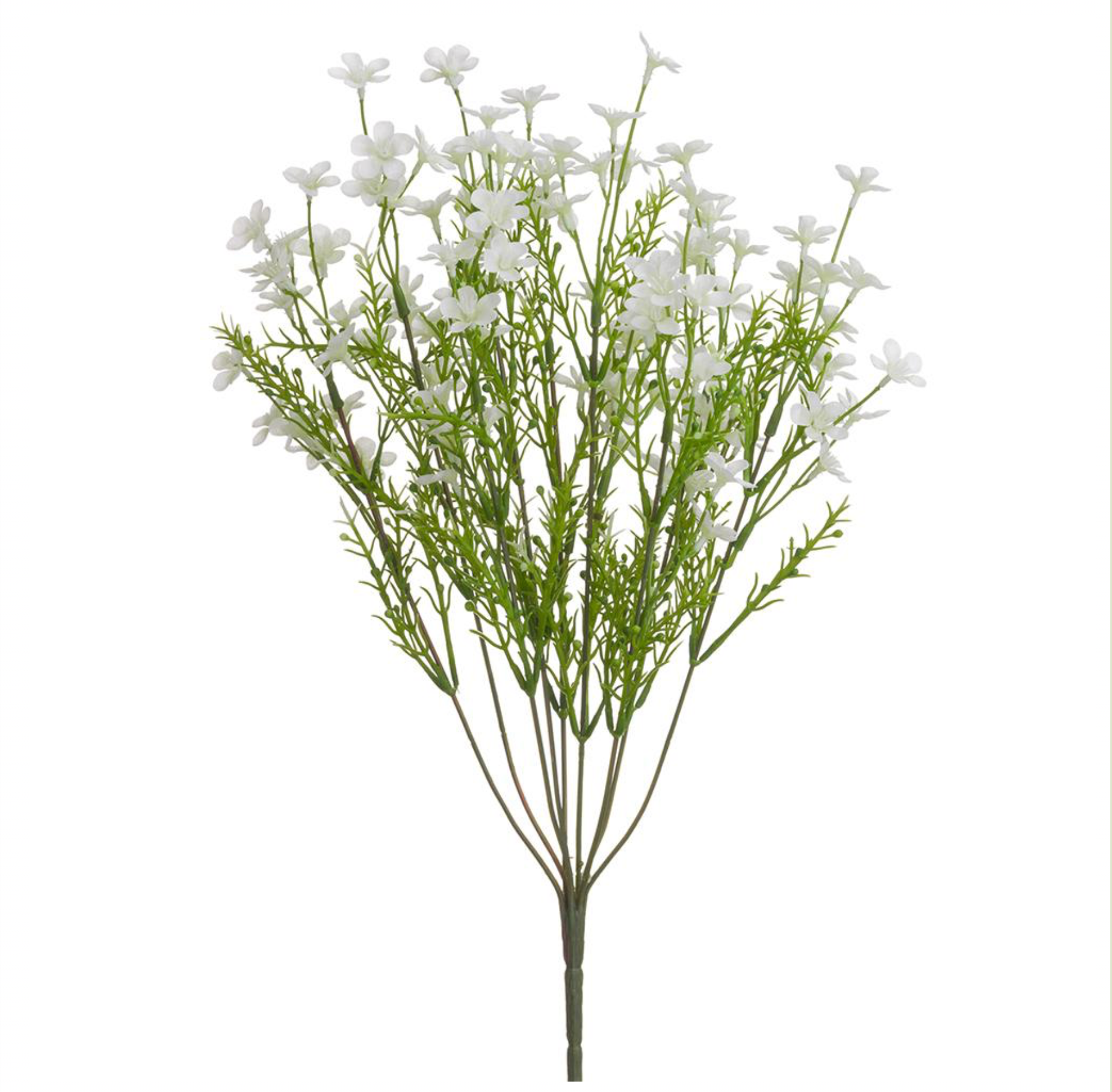 18" Forget-Me-Not Bush ( FBF003-White )