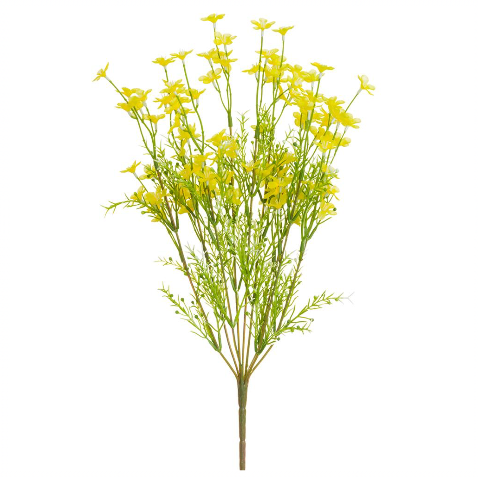 18" Forget-Me-Not Bush ( FBF003-Yellow )