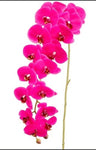 45"Real Touch Phalaenopsis Spray ( FSO077-Purple )