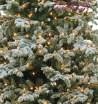 9.5'Hx75"D Snowy Norway Spruce Tree ( YTW629 )
