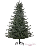 8' H x 65'' D Mountain Fir Tree ( YT2318-GR )