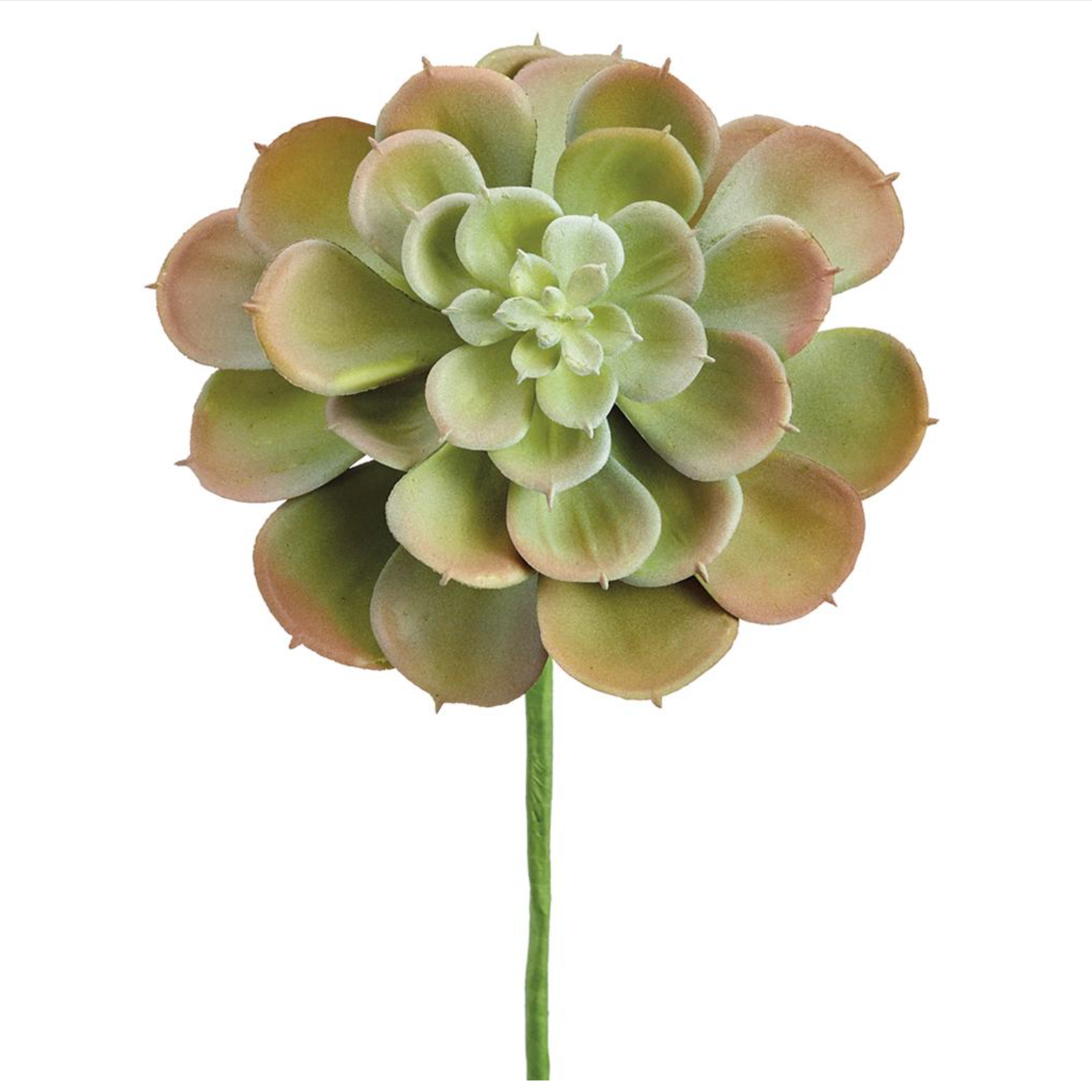 9" Real Touch Echeveria Pick ( CE4194-GR/BU )
