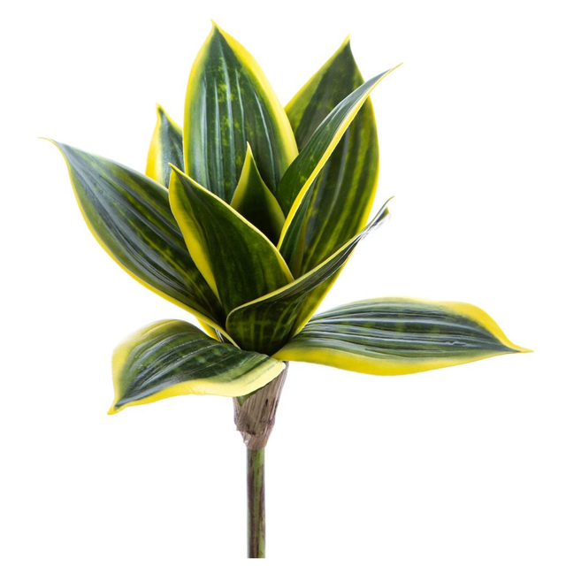 9" Mini Sansevieria Plant ( CA0309-GR/CR )
