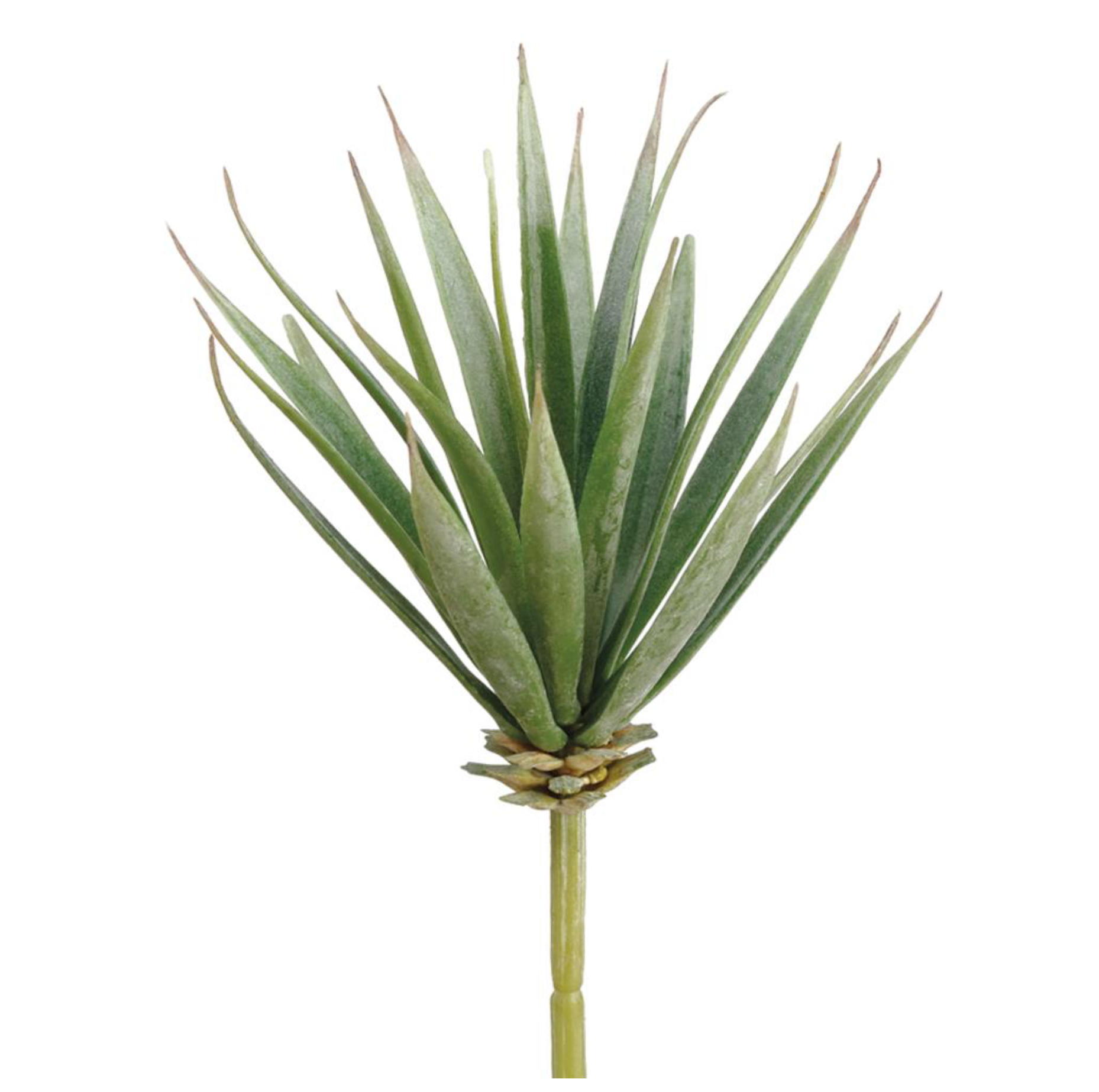 7" Aloe Pick ( CA1416-GR )