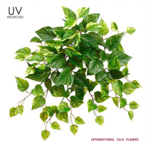 20'' UV Protected Pothos Bush ( PBP202-GR/WH )
