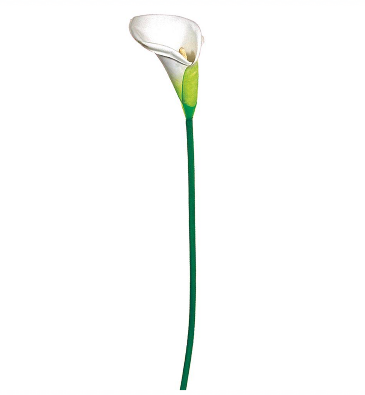 23" Calla Lily Spray ( GTL270-White )