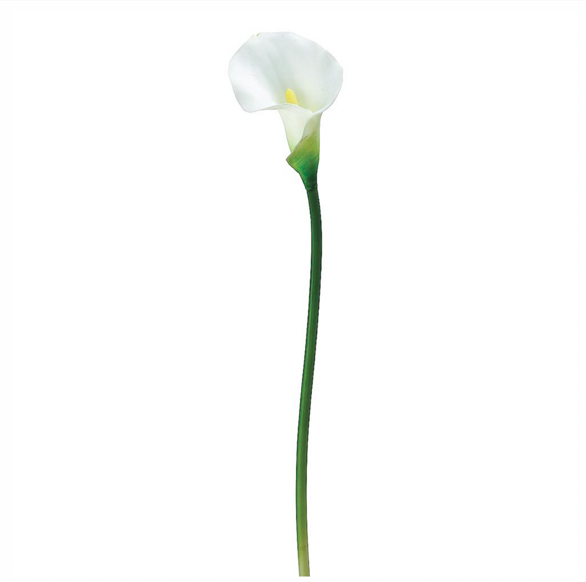 21" PVC Calla Lily Stem ( FSL500-White )