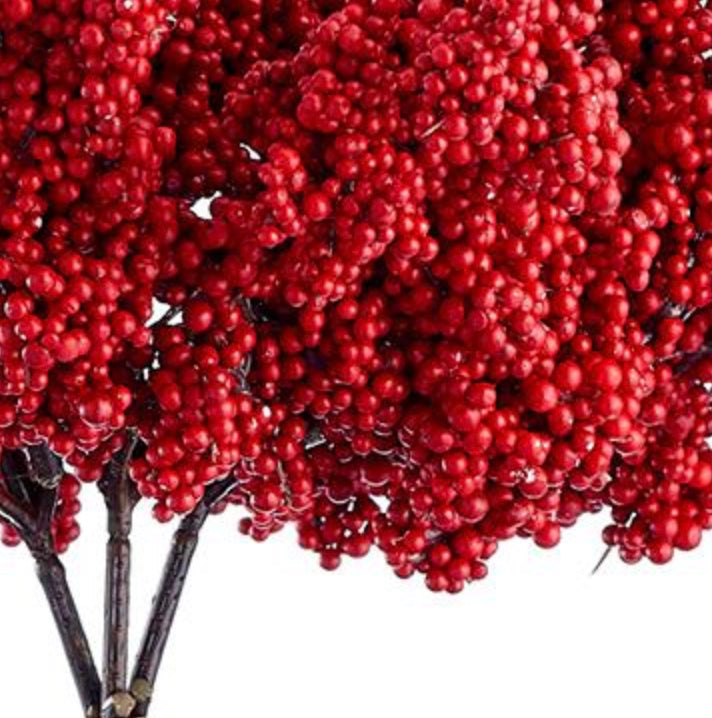 10.5" Berry Bundle ( XBB383-RE )
