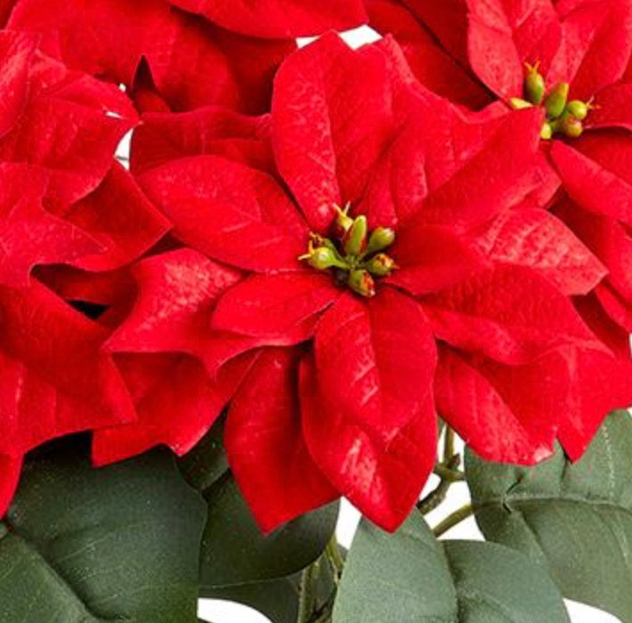 14.5" Velvet Poinsettia Bush ( XPB132-RE )