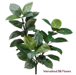 32" Rubber Plant ( PPH316 -GR )