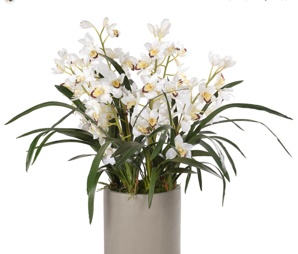 24'' Cymbidium Orchid Leaf Bush ( HFO673-GR )