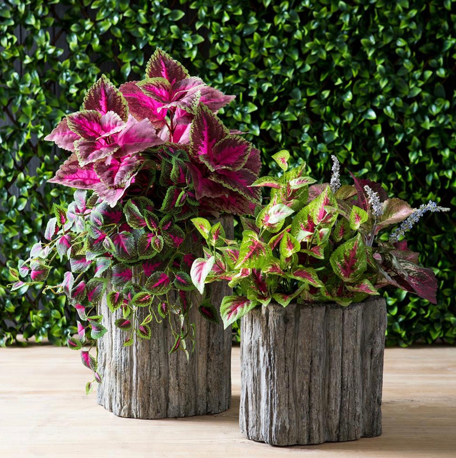 20" Faux Coleus Hanging Bush ( PBC020-RE/GR  )