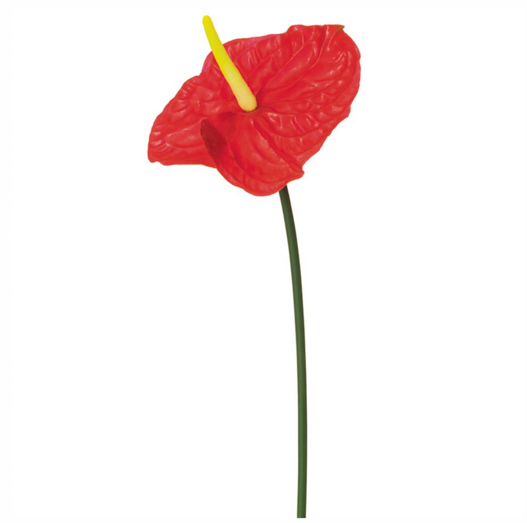 27.5" Real Touch Anthurium Spray ( FSA018-Red )