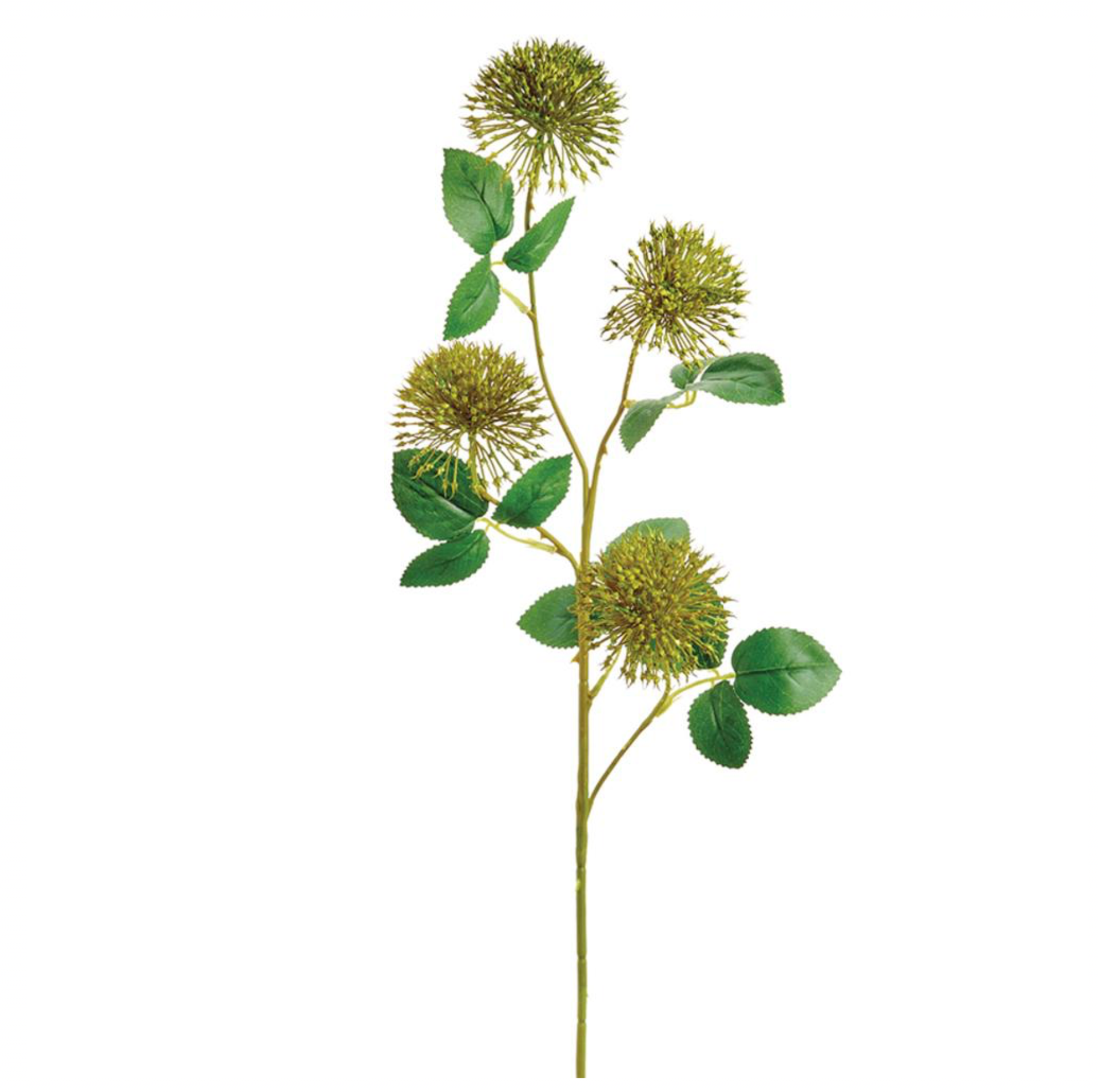 29'' ALLIUM SPRAY  ( FSA563-GREEN )