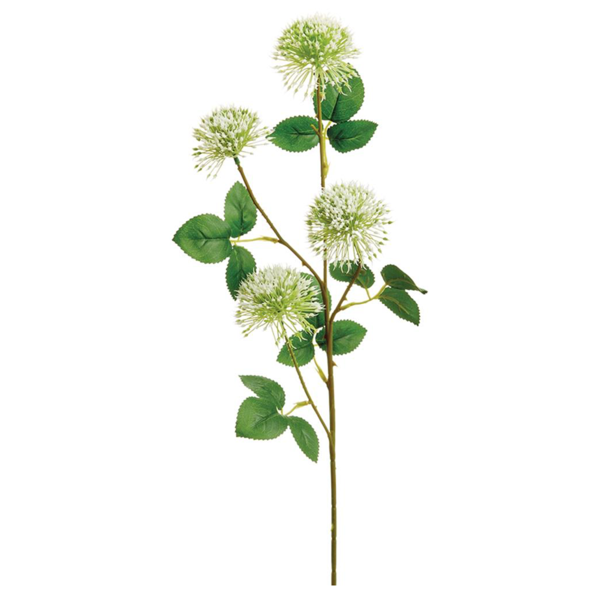 29'' ALLIUM SPRAY  ( FSA563-White )