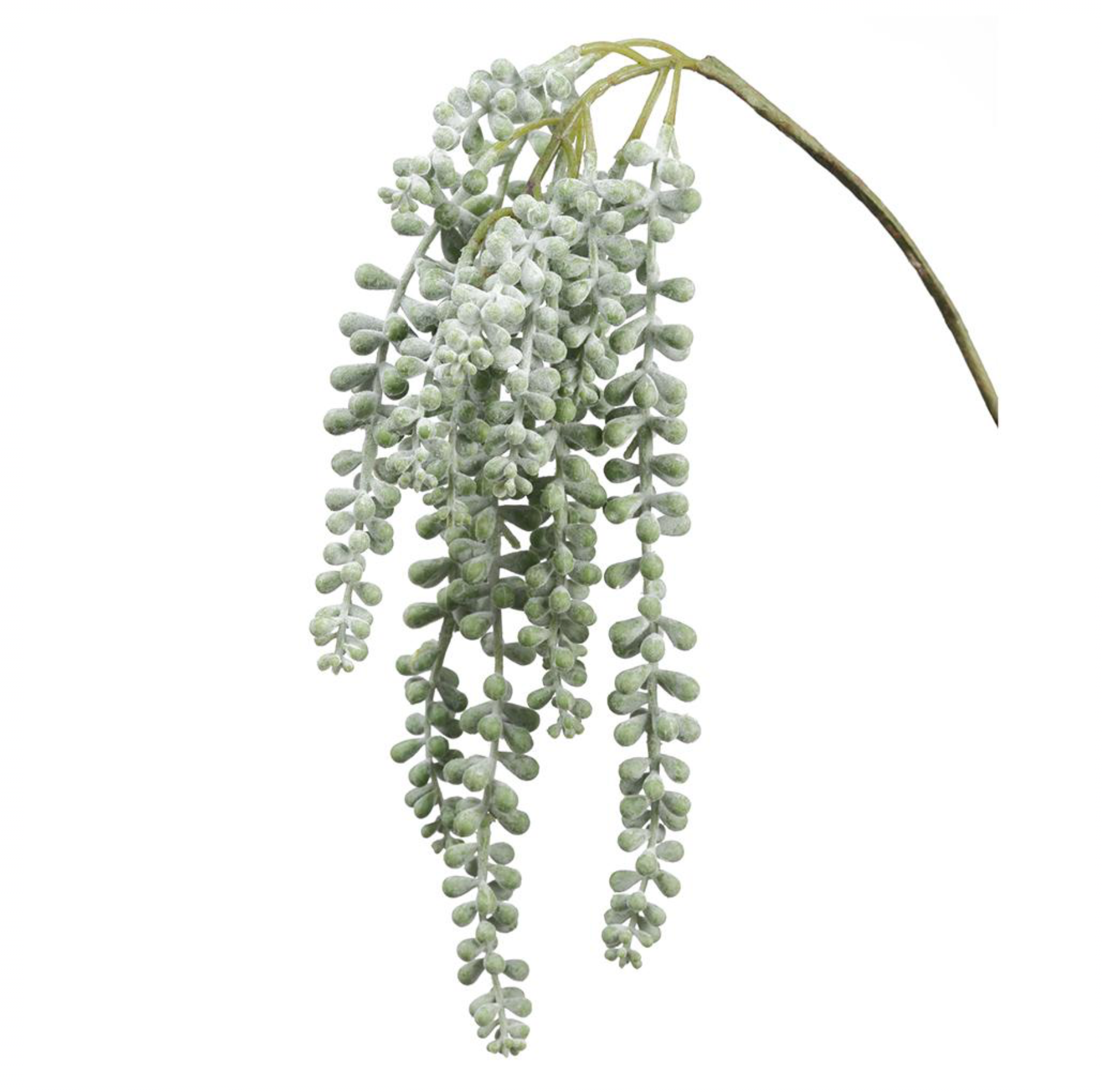 19'' SOFT TOUCH DONKEY TAIL PICK ( CD0102-Green )