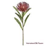 26" Open Needle Protea Spray ( FSP752-Burgundy )