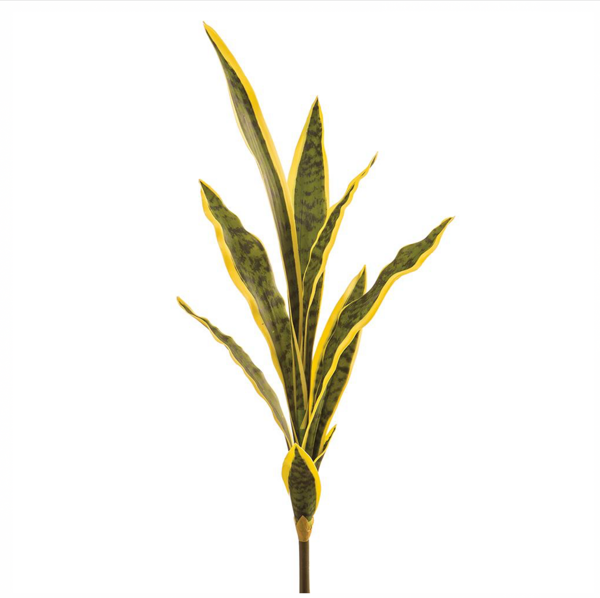 Los Angeles Wholesaler | 27'' SANSEVIERIA PLANT ( PPS674-VG