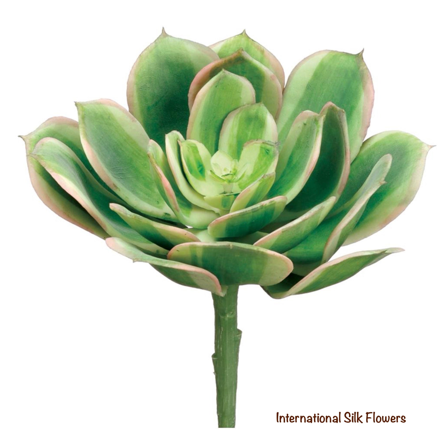 5” Soft Echeveria Pick ( CM4416-GR/PK )