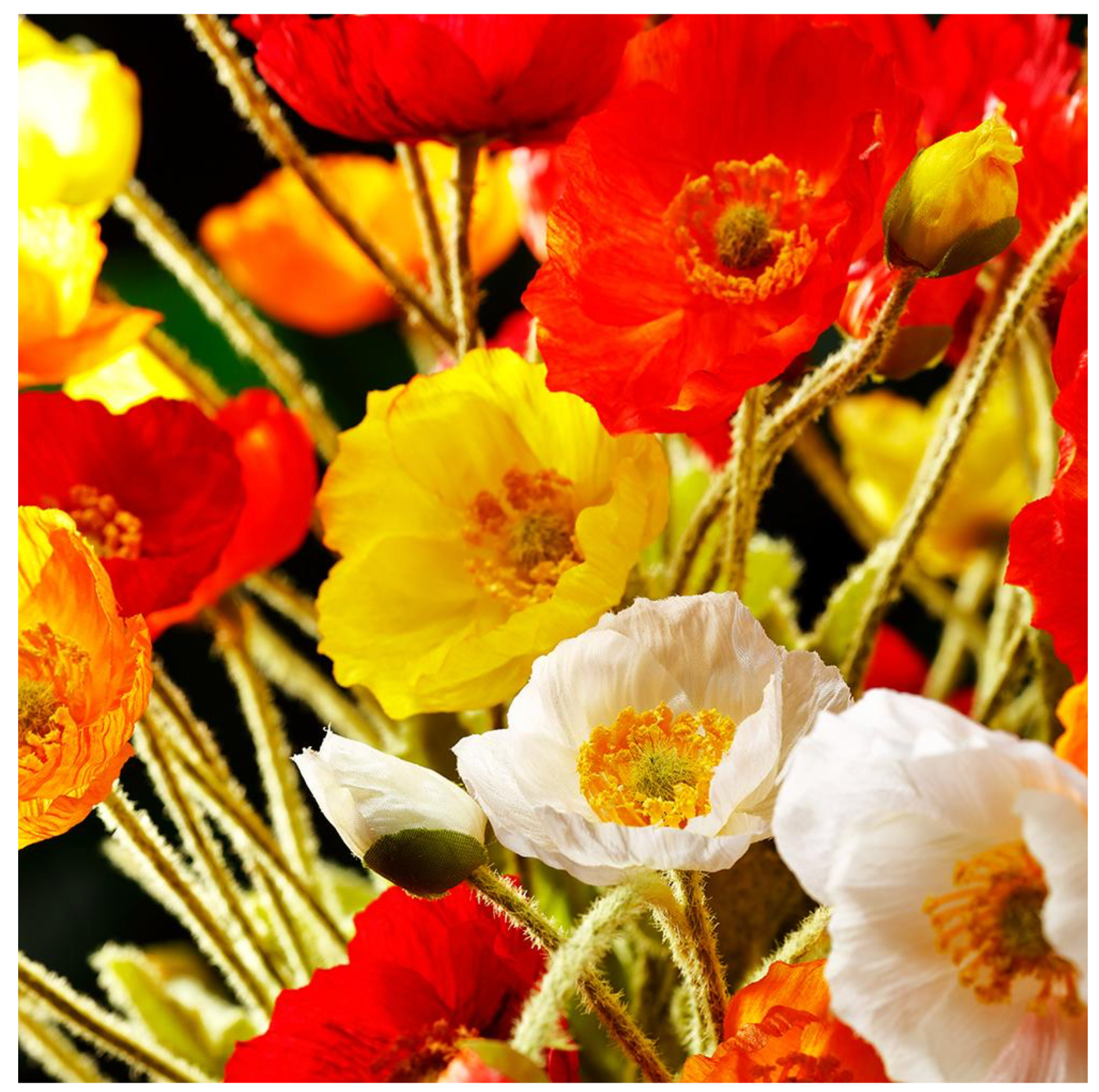 23.6" Silk Poppy Spray ( FSP304-Red )