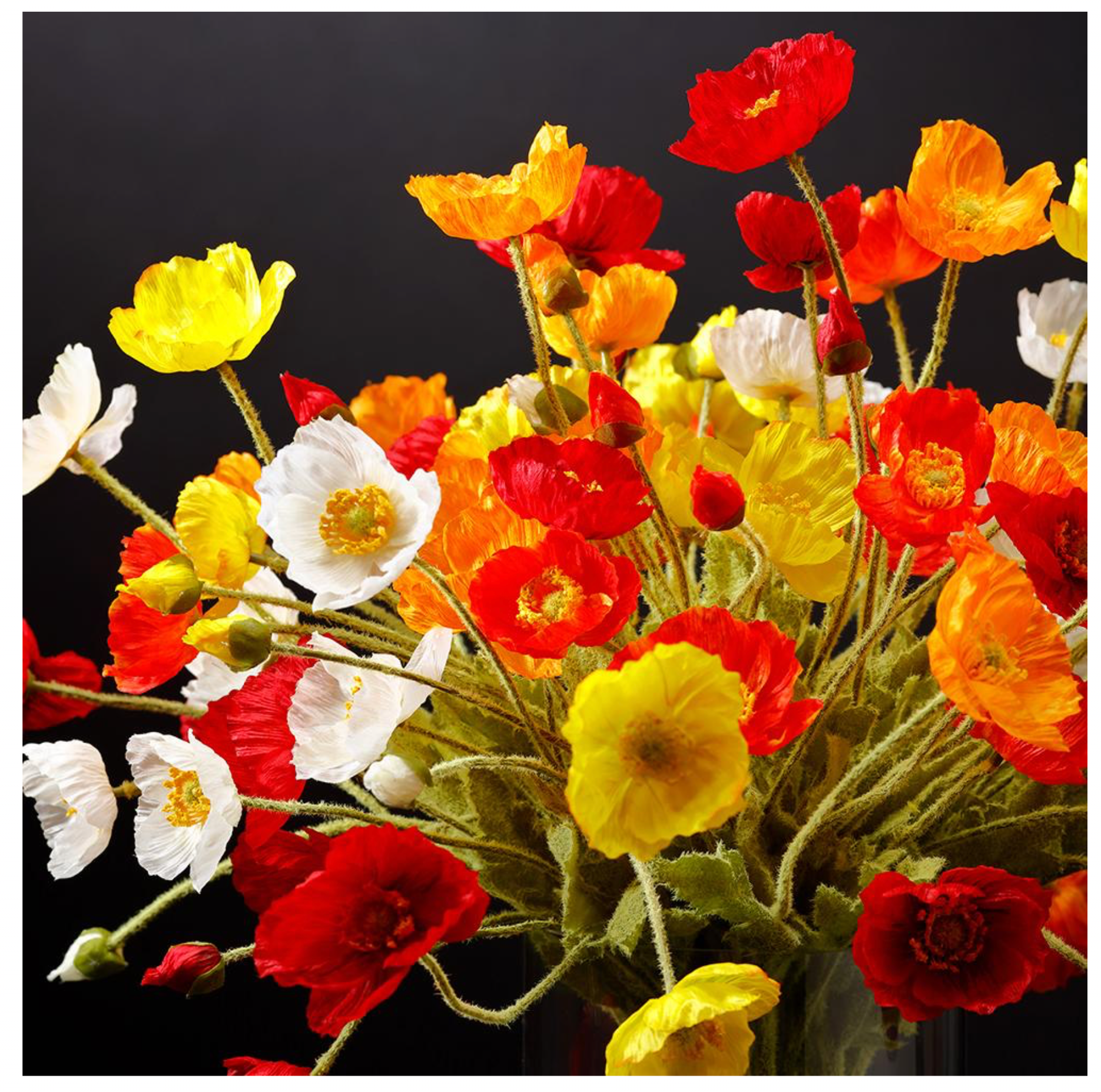 23.6" Silk Poppy Spray ( FSP304-Flame )