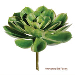 6'' Soft Touch Echeveria Pick ( CE4199-2Tone Green )
