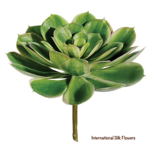 6'' Soft Touch Echeveria Pick ( CE4199-2Tone Green )