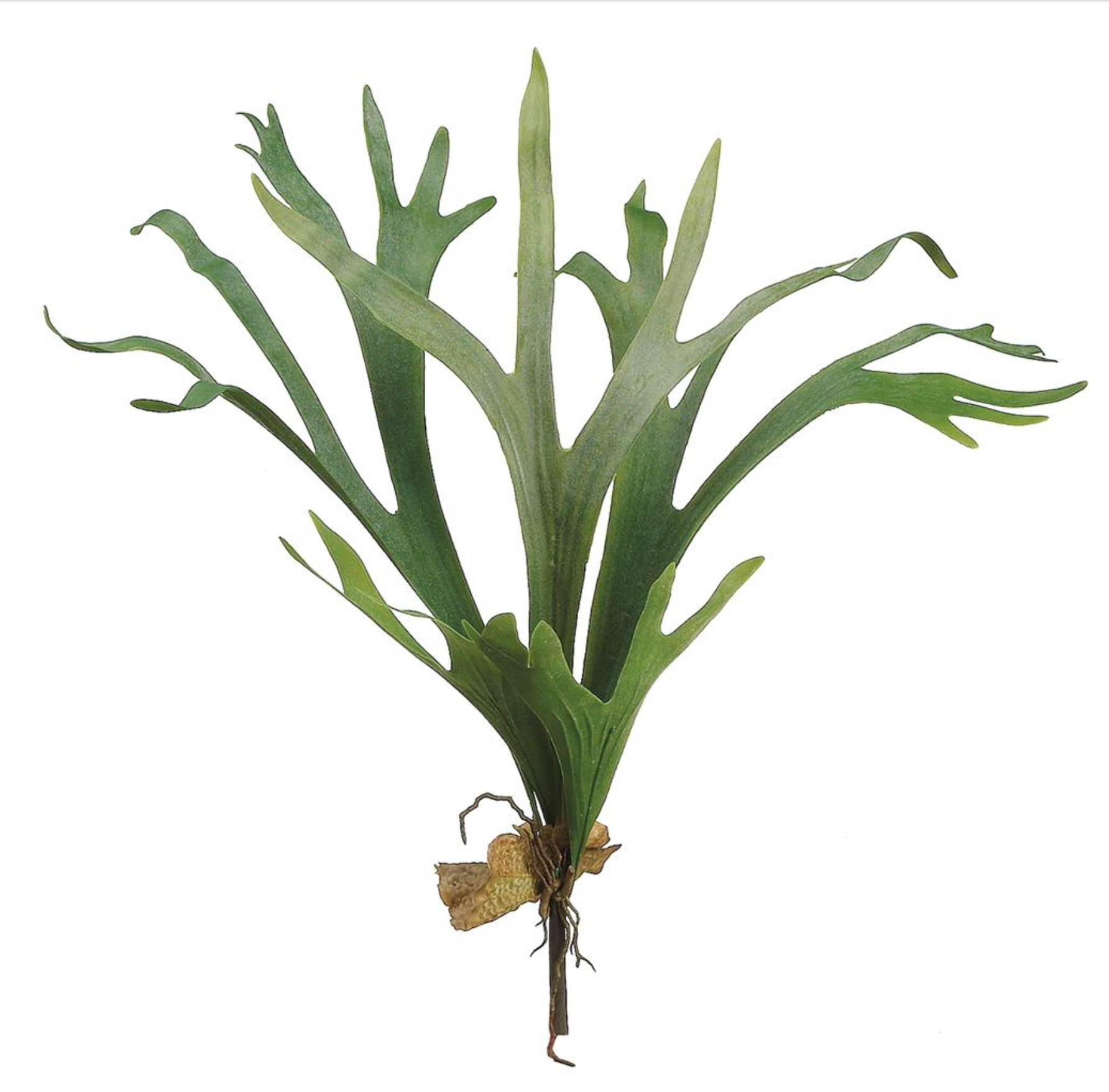 24.5" Artificial Staghorn Plant ( PSS835 )