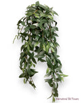 31'' Ruscus Hanging Bush ( PBW449-GR )