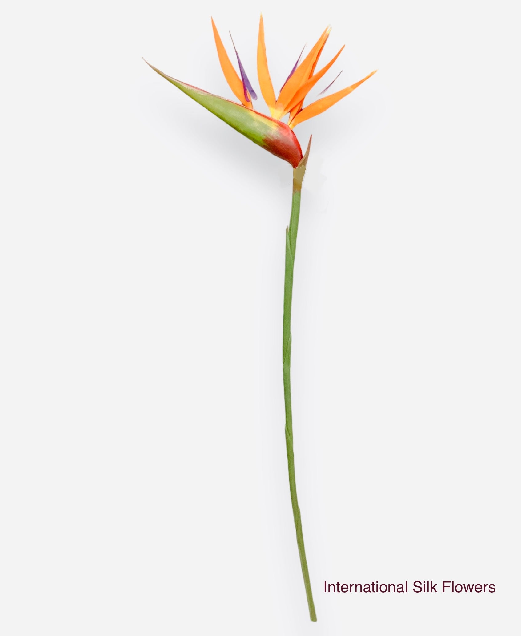36'' Bird Of Paradise Spray ( GTB553-Orange )