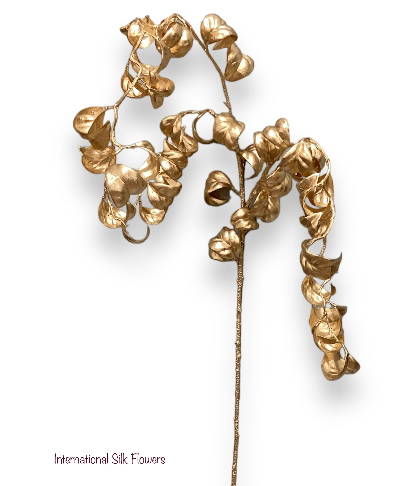 37' CURLY FICUS HANGING SPRAY ( XAS950-GO )