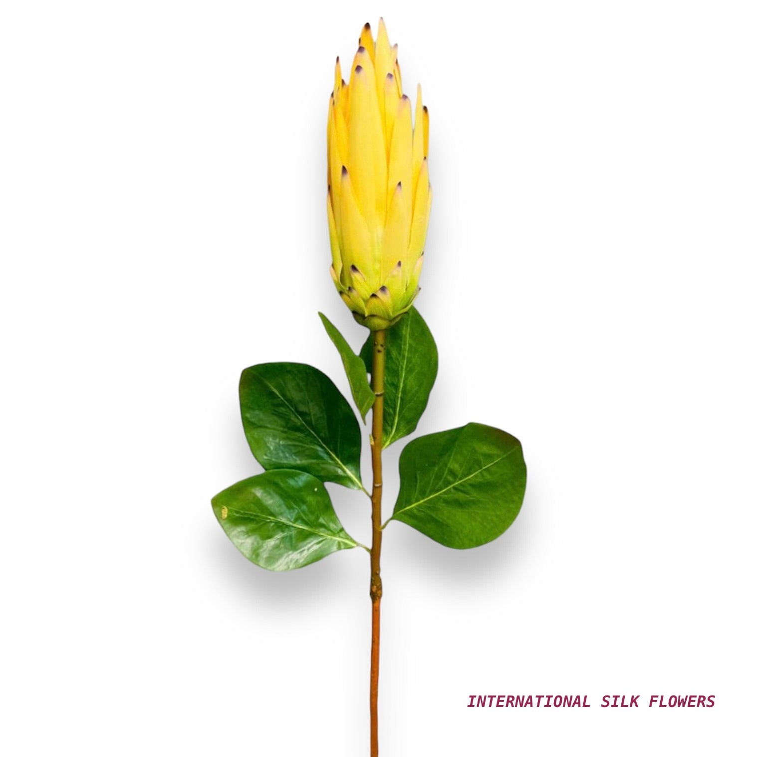 33'' PROTEA SPRAY ( FSP825-Yellow )