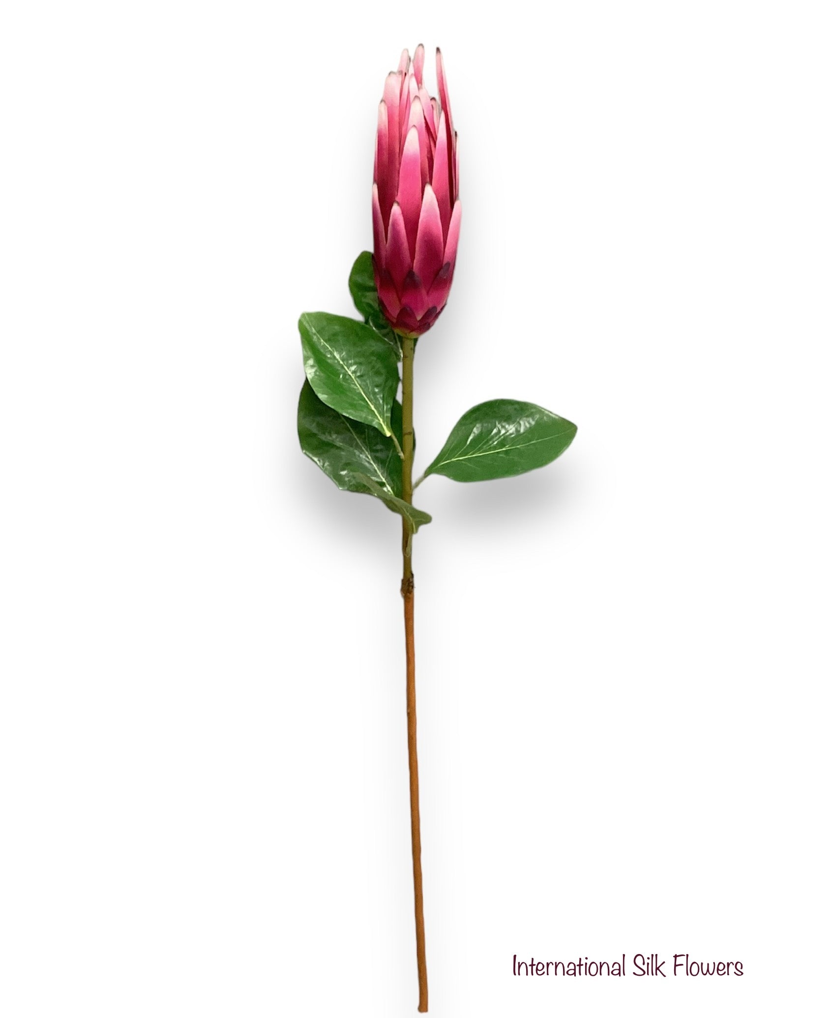 33'' PROTEA SPRAY ( FSP825-BEAUTY )