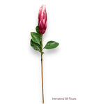 33'' PROTEA SPRAY ( FSP825-BEAUTY )