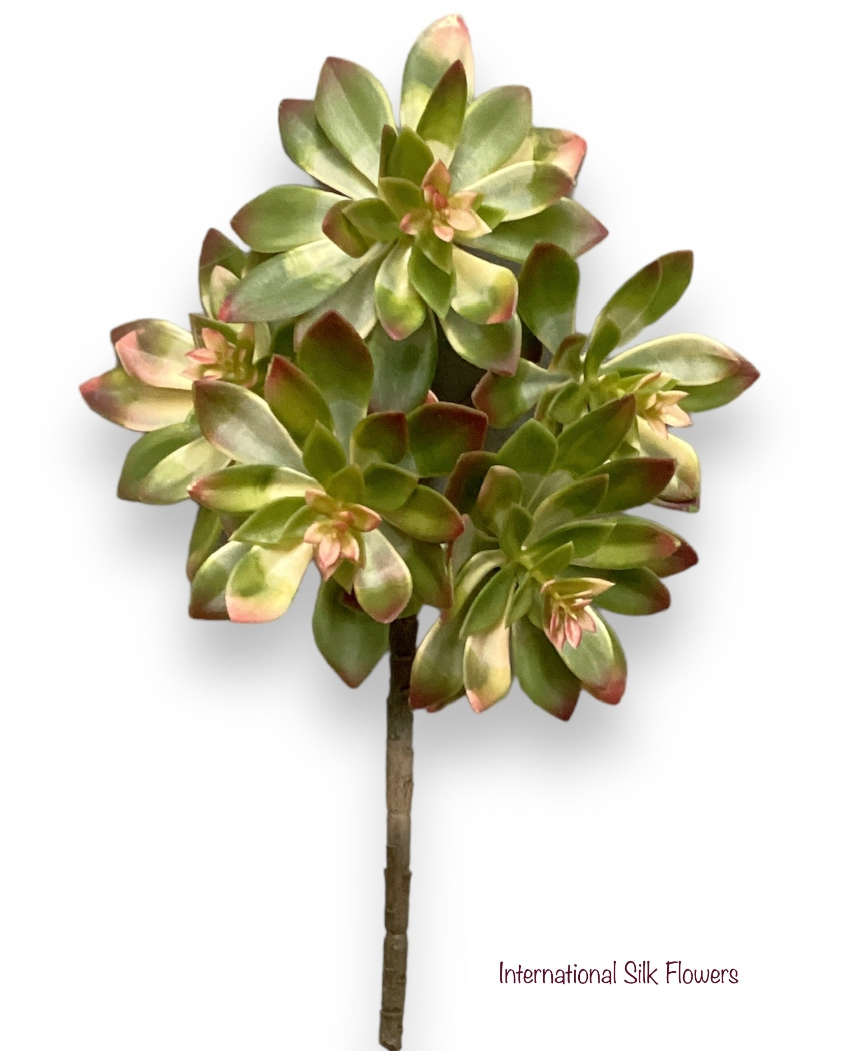 12'' Soft Touch Echeveria Spray  ( CE0029-GR/PK )