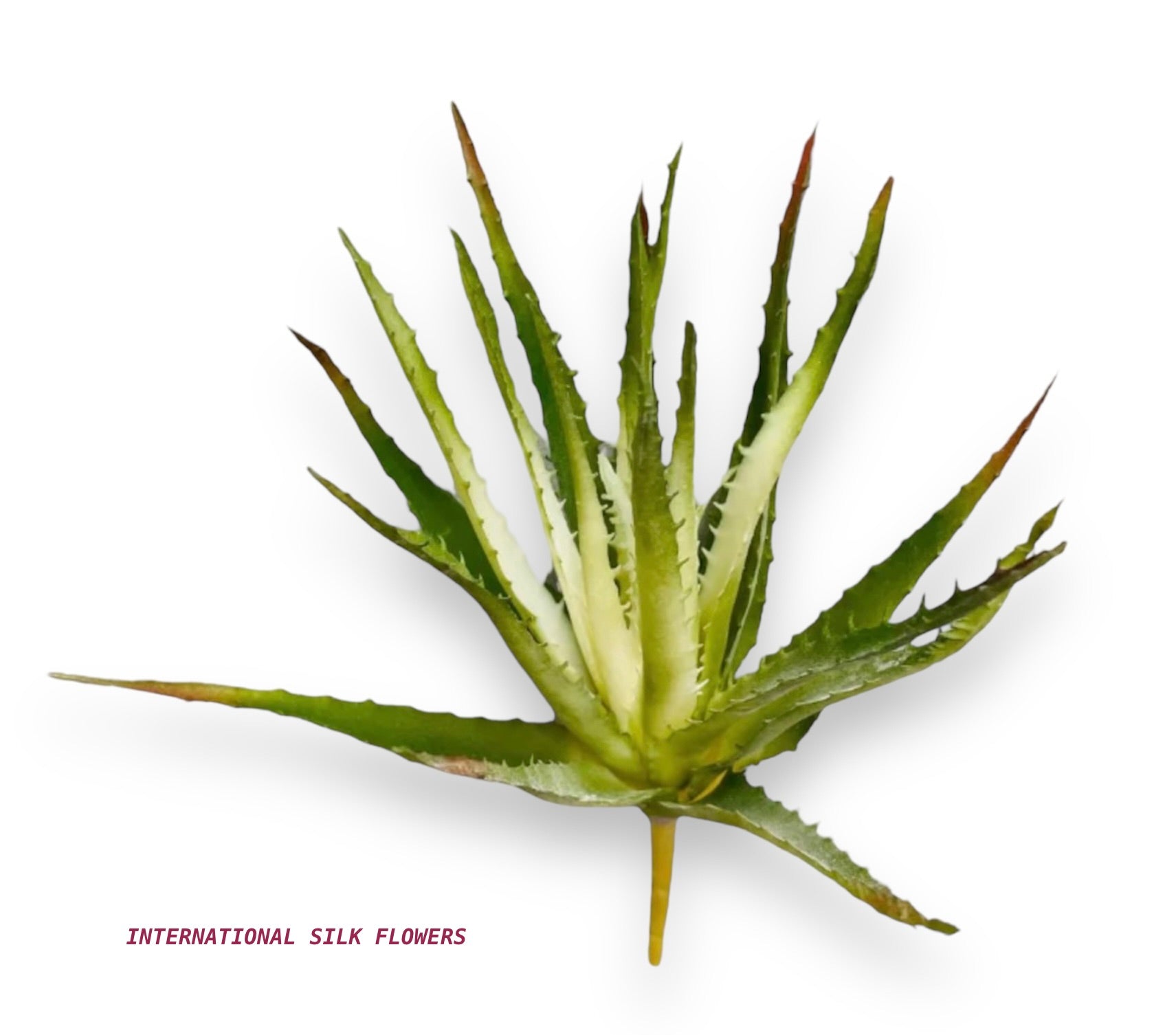 10.5'' ALOE PICK ( CKA280-Green Cream )