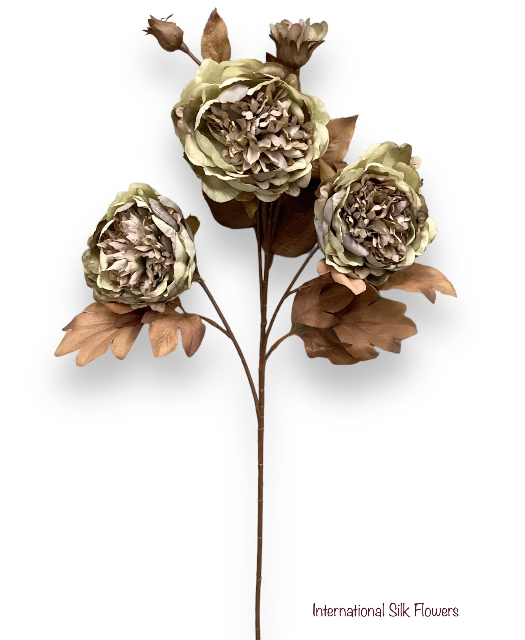 22'' DRIED LOOK PEONY SPRAY ( FSP153-GR/MO )