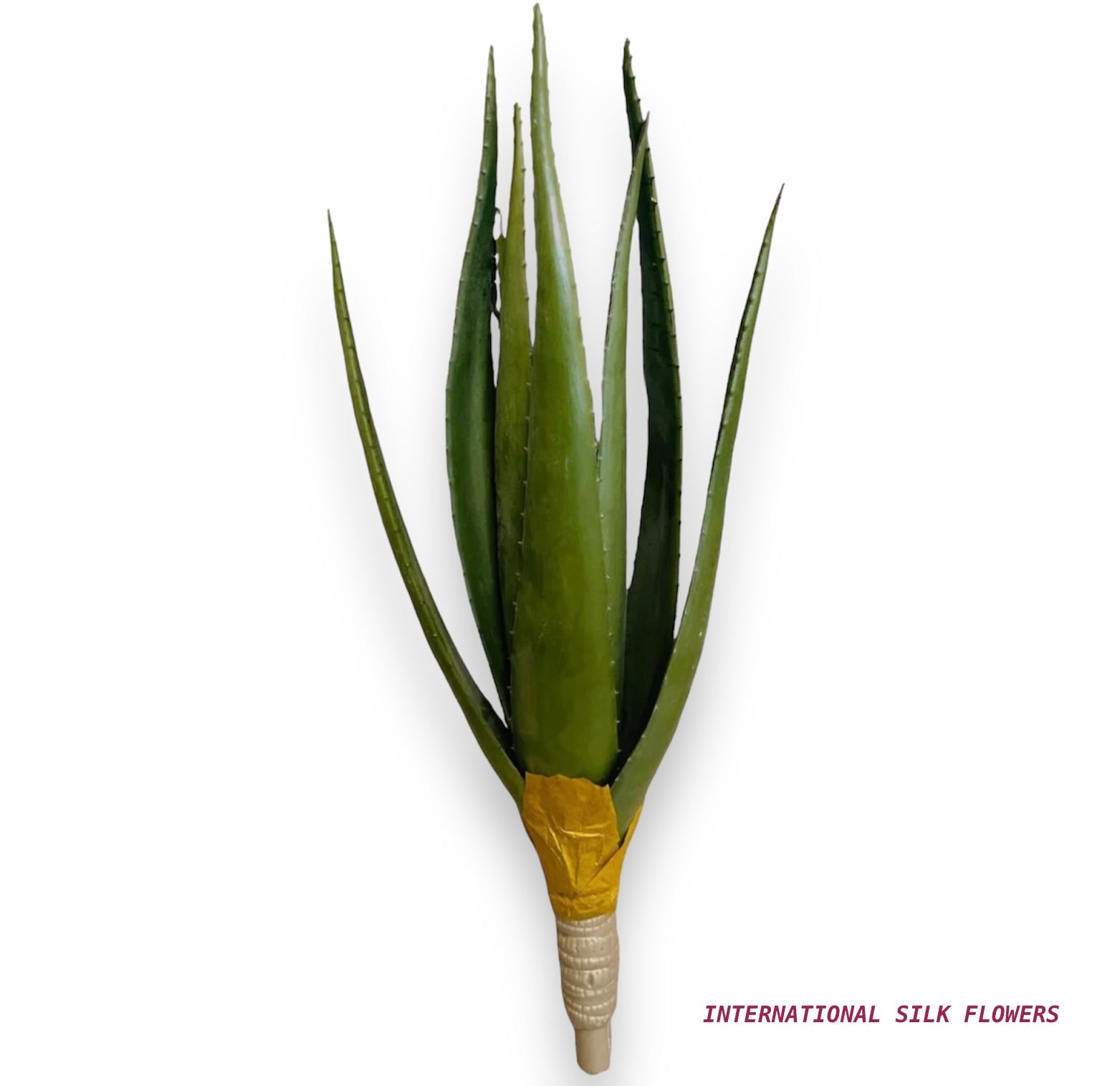 23'' AGAVE ( PPA232-GR )