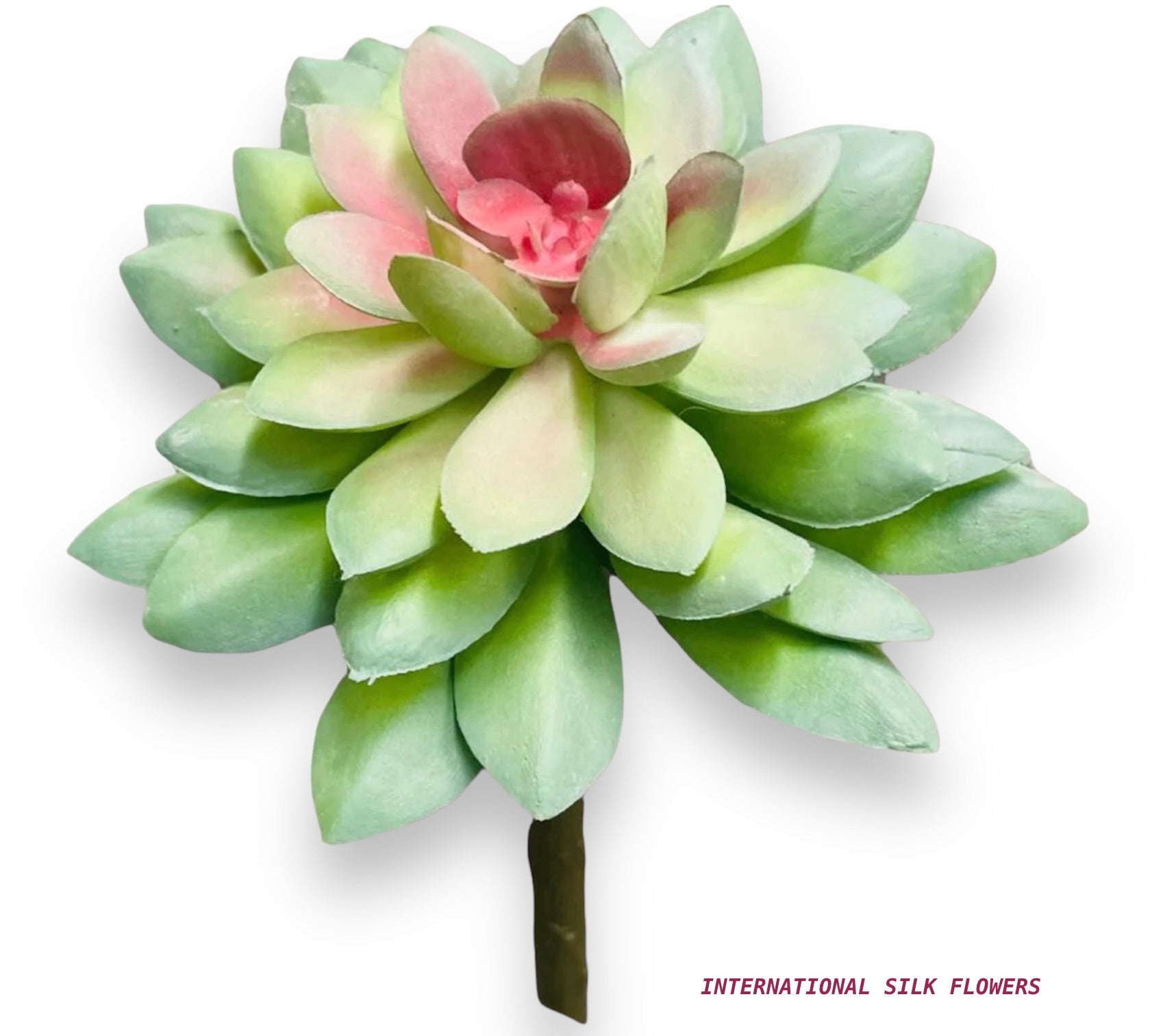 5'' SUCCULENT ( 142860-GREEN PINK )