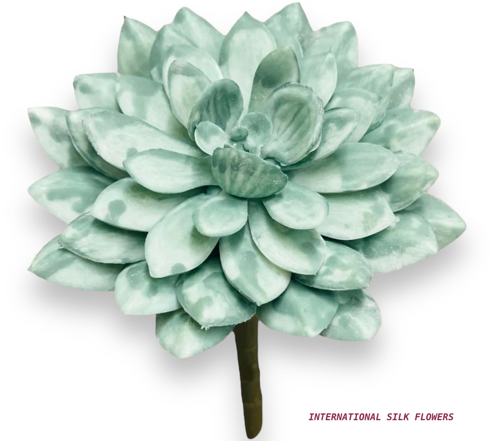 5” SUCCULENT ( 142860-DUSTY )