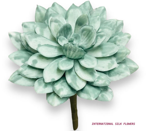 5” SUCCULENT ( 142860-DUSTY )