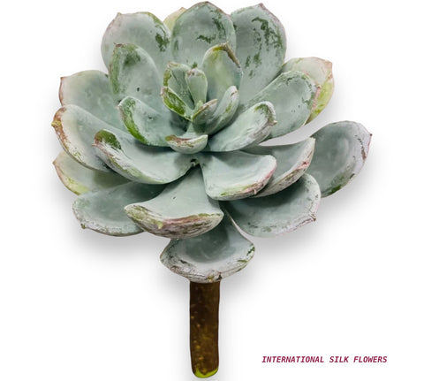 5.5'' SUCCULENT PICK ( 191983GY/GR )