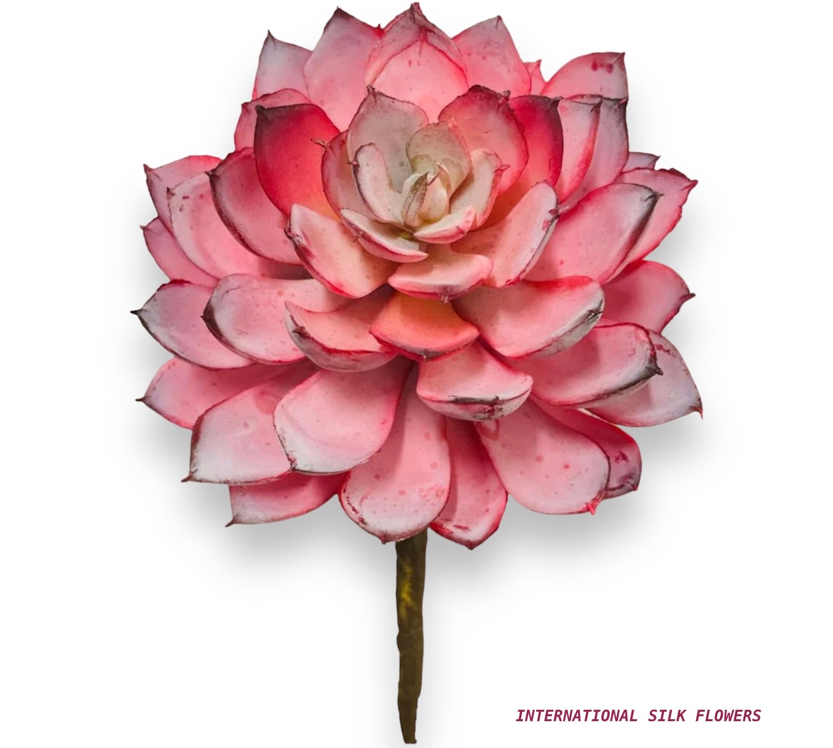 7'' SUCCULENT PICK ( 199299OR )