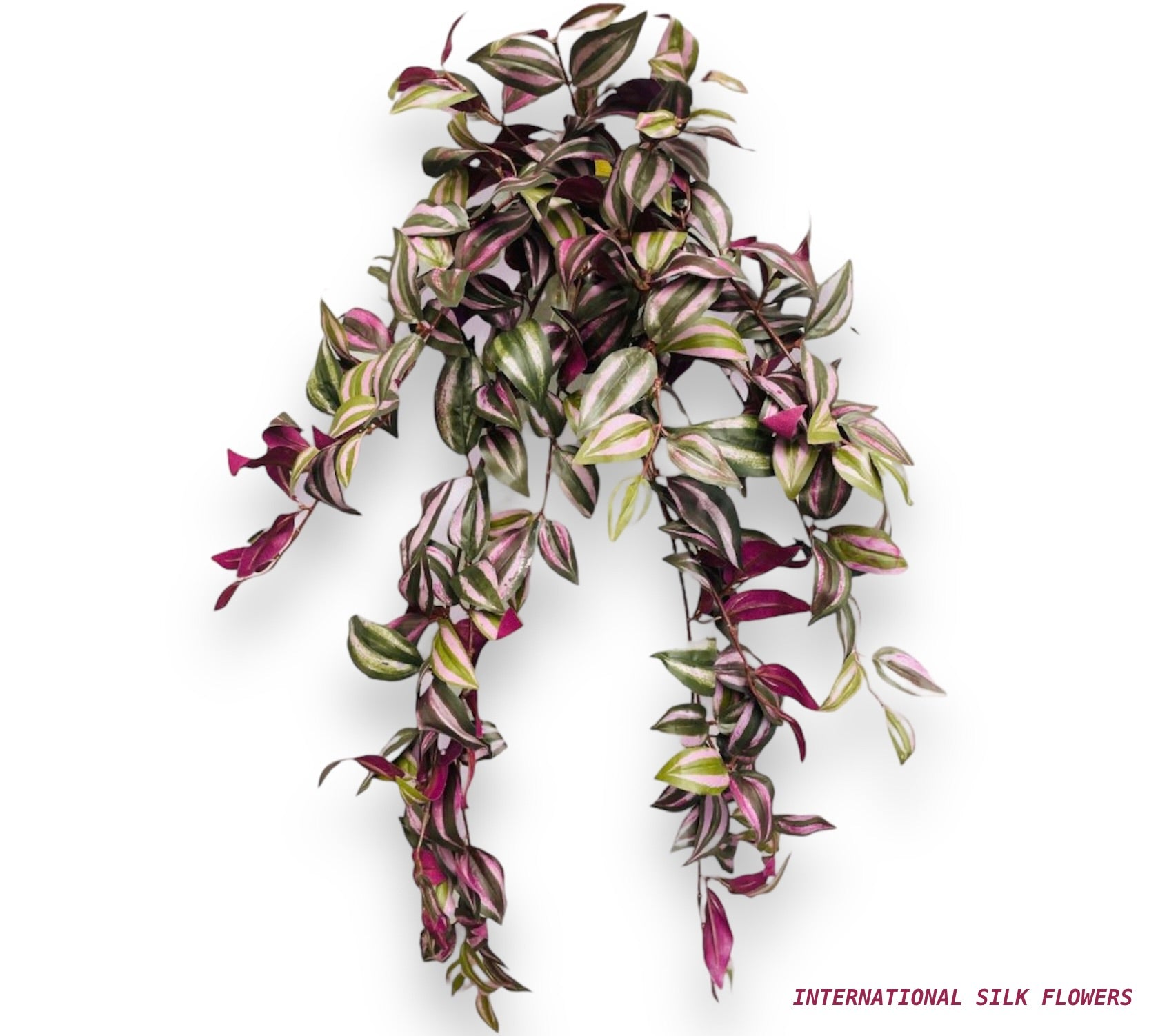 29" Wandering Jew Hanging Bush ( BW383-PUG )