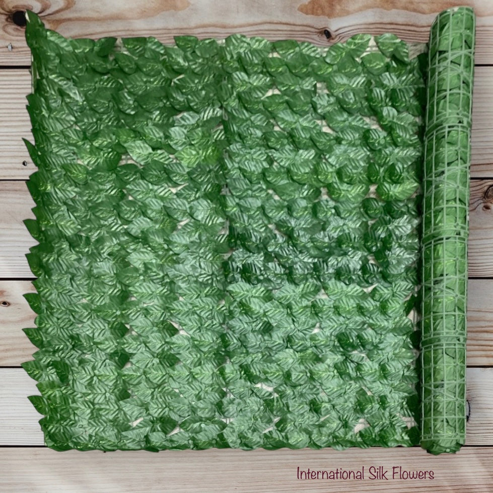 PHILO IVY MATT (  CYLL 0304 )