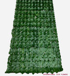 PHILO IVY MATT (  CYLL 0304 )