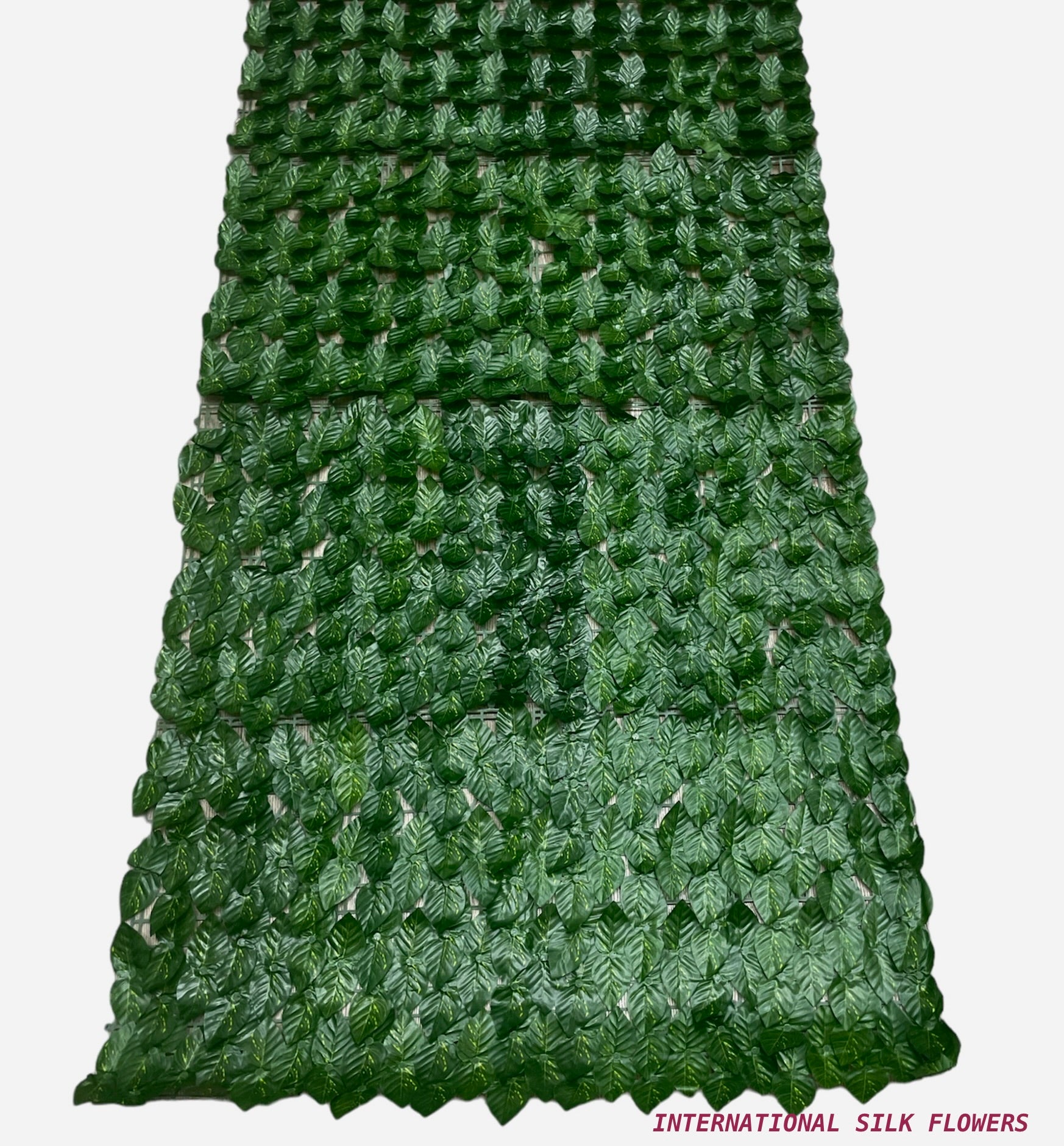 PHILO IVY MATT (  CYLL 0304 )