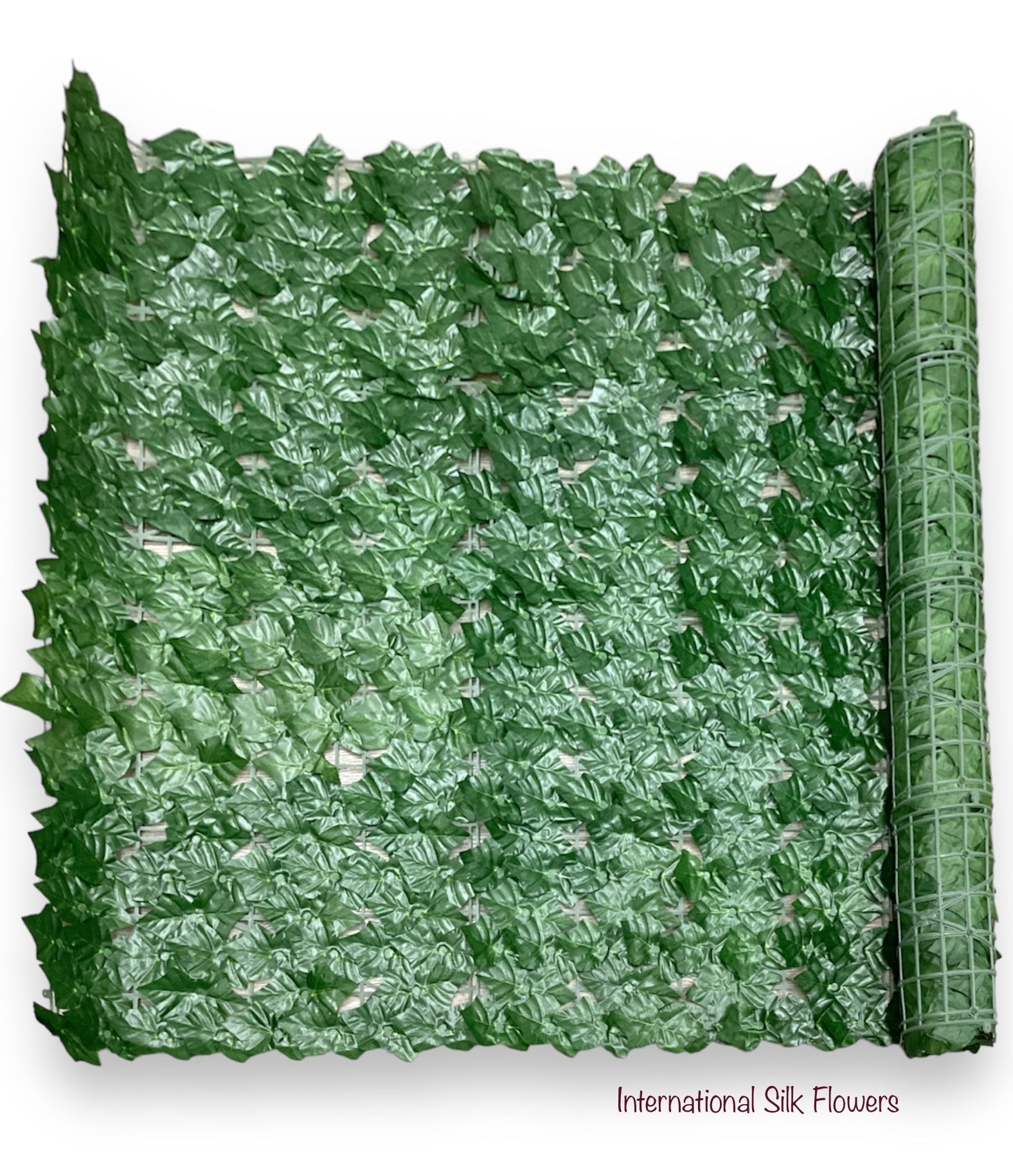 ENGLISH IVY MATT ( CYDG0305 )