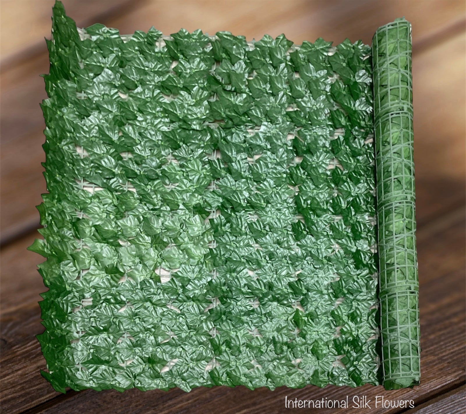 ENGLISH IVY MATT ( CYDG0305 )